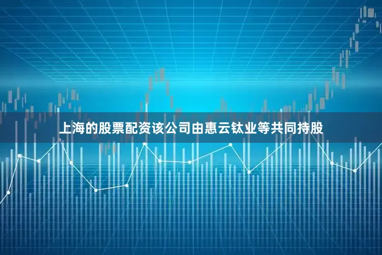 上海的股票配资该公司由惠云钛业等共同持股