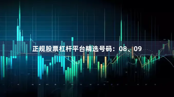 正规股票杠杆平台精选号码：08、09