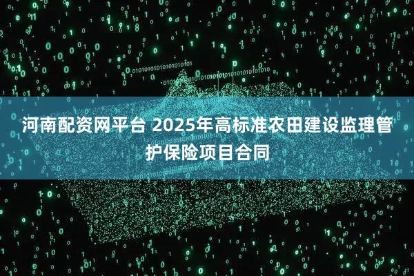 河南配资网平台 2025年高标准农田建设监理管护保险项目合同